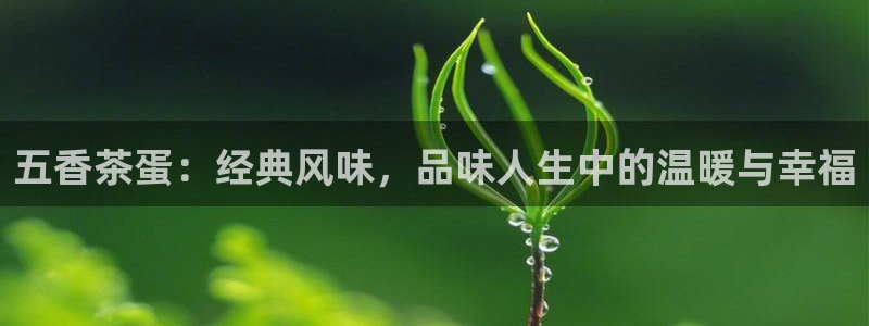 琥珀鸿运是个国际平台吗