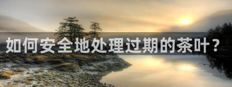 鸿运外汇平台