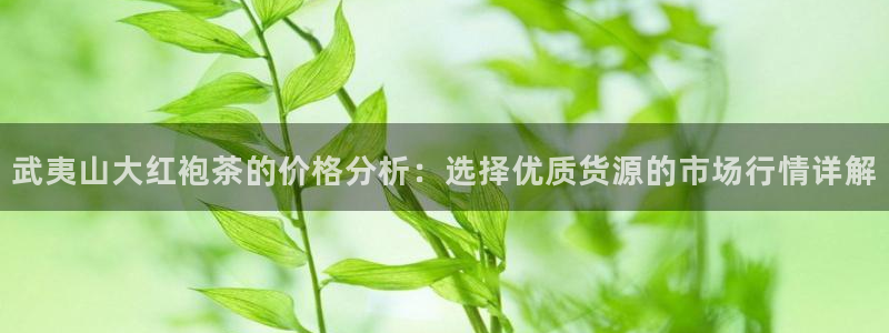 鸿运借款是什么平台
