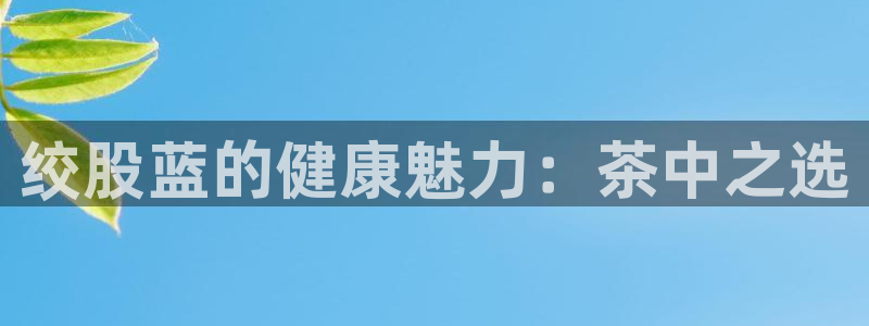 鸿运团队赚钱平台