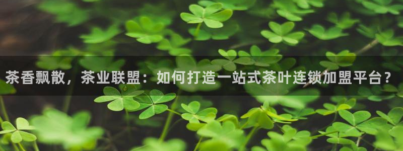 鸿运财富是什么平台