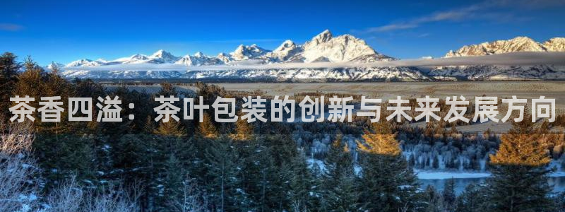 鸿运快三平台