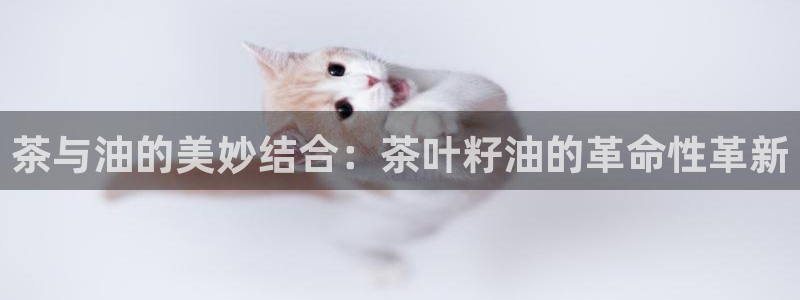 鸿运布艺团购平台