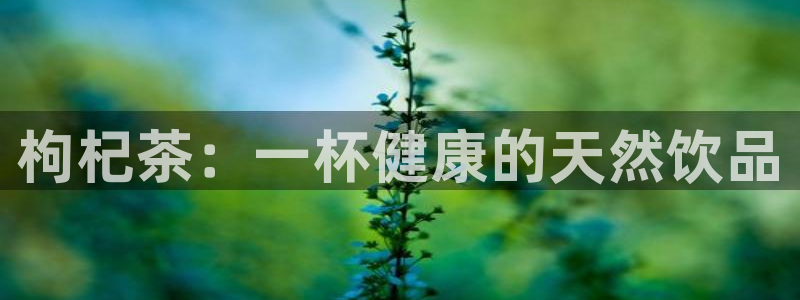 鸿运达出票平台