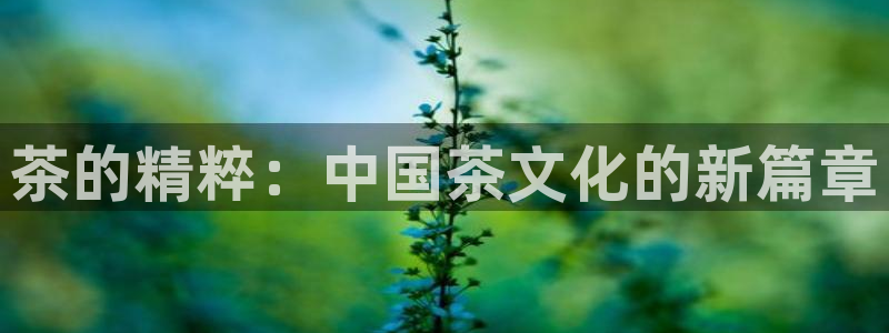 鸿运购平台