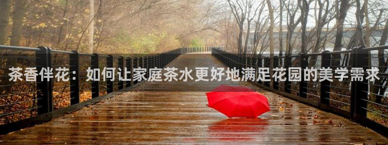 琥珀鸿运平台怎样赚钱的