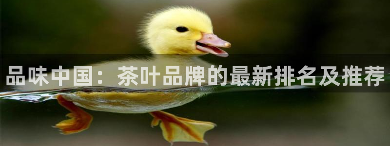 鸿运微交易平台