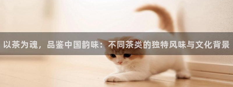 鸿运28平台