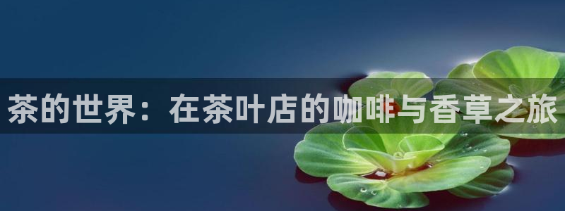 鸿运彩票平台官网