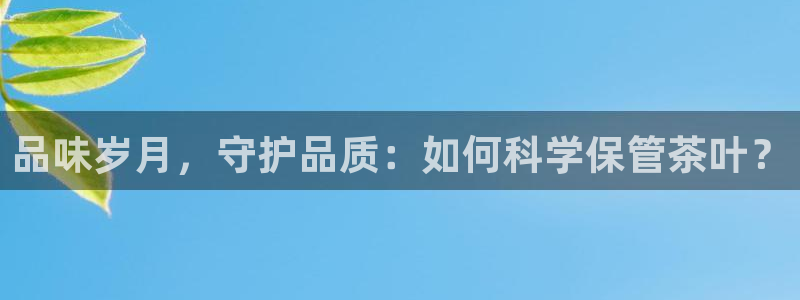 会员鸿运国际平台
