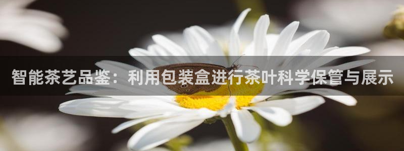 鸿运网平台用户