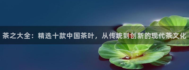 鸿运手机棋牌平台