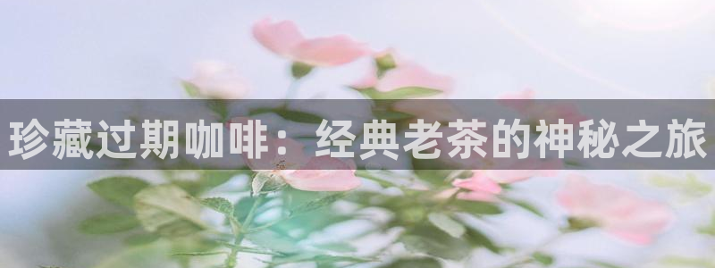 鸿运代拍平台