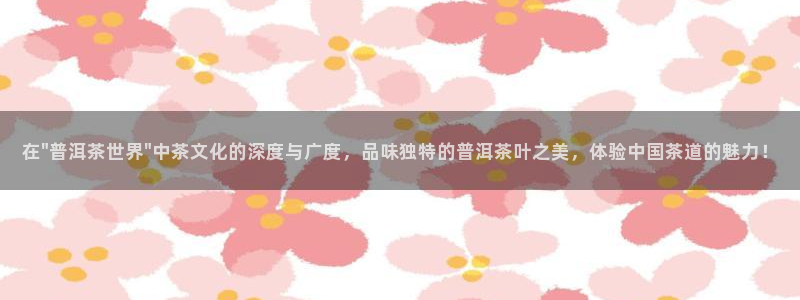 鸿运集团有几个平台