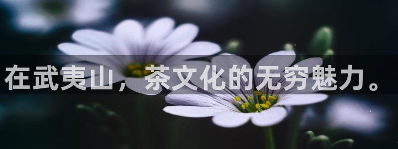 鸿运服务平台