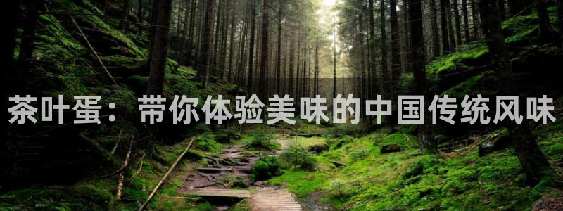 鸿运投注网平台