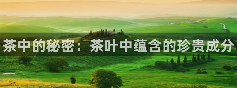 鸿运信息发布平台