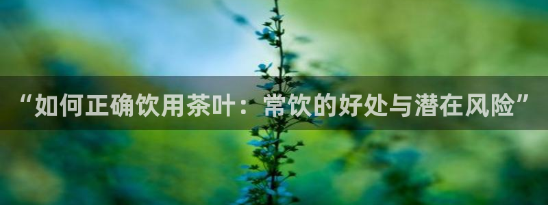 鸿运信投平台
