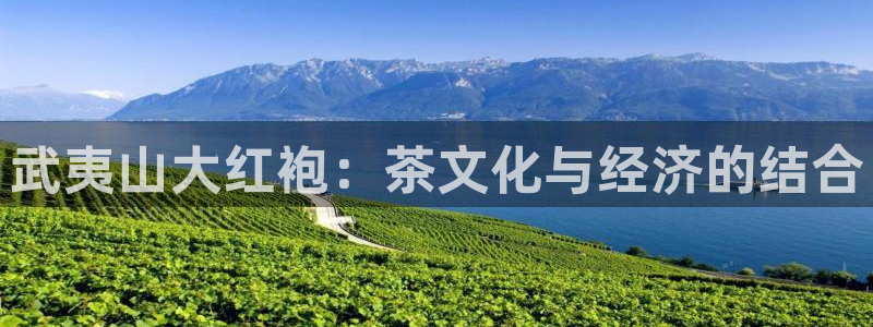 鸿运升降机械平台