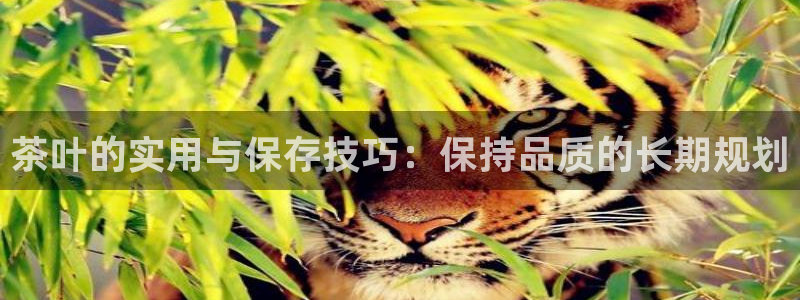 鸿运茶馆平台客服