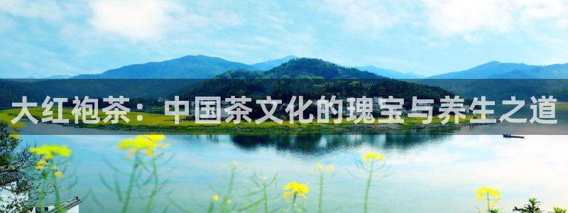 鸿运平台app下载