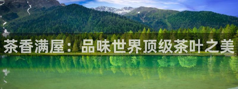 鸿运体育平台网址是什么