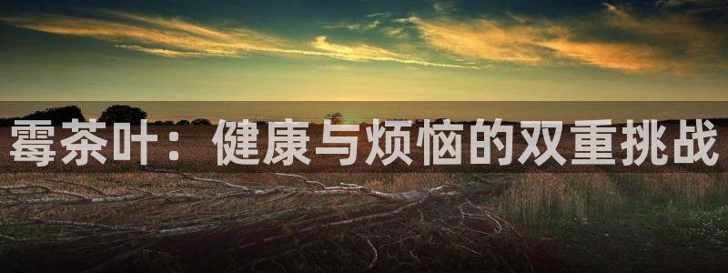 鸿运平台英焕