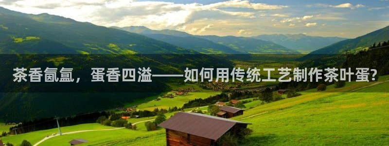 谢鸿运平台