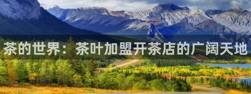 鸿运北斗监控平台