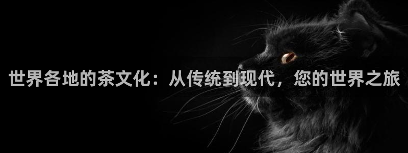 香港鸿运投资平台