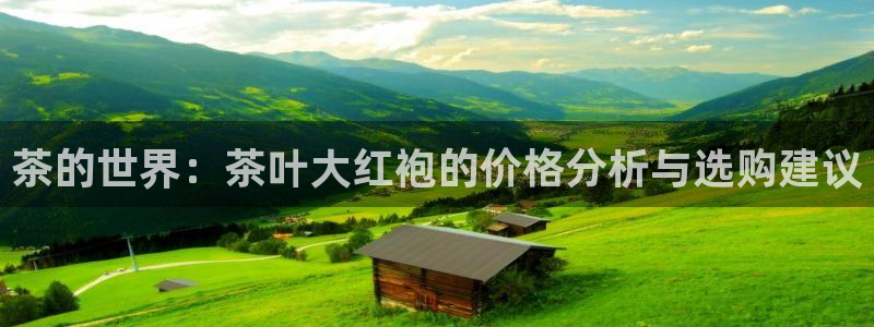 鸿运当头平台