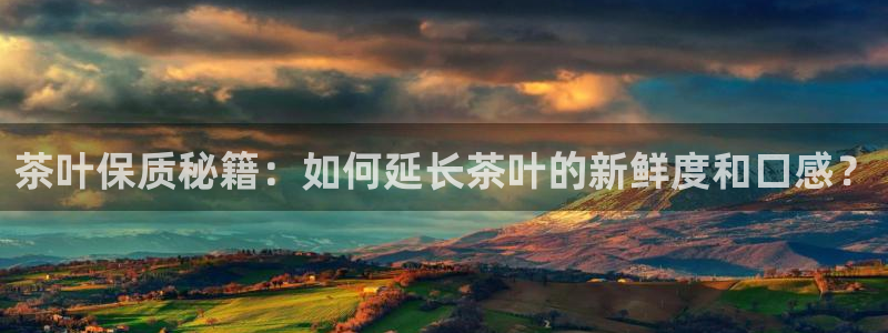 鸿运配资平台