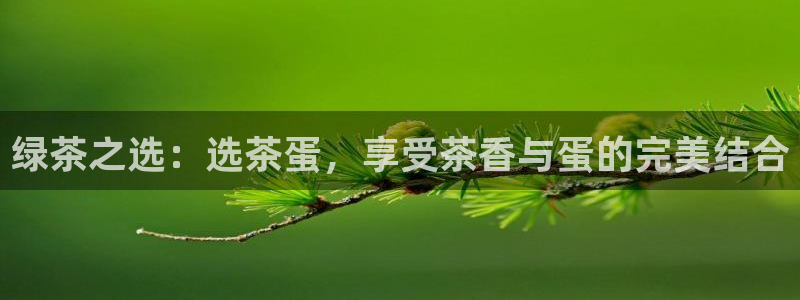 鸿运达出票平台