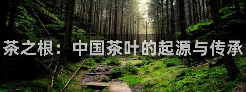 辣椒鸿运权威彩票平台