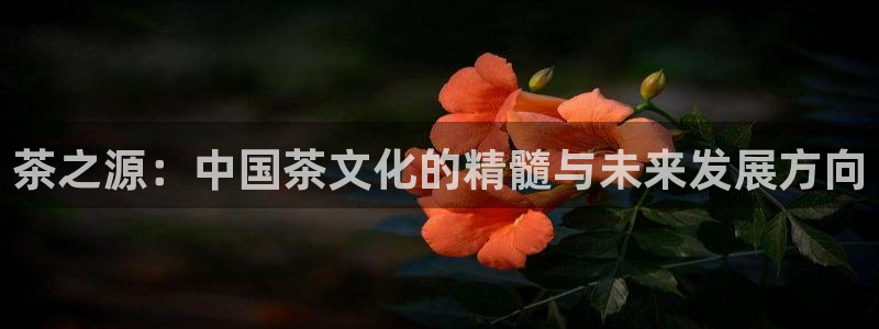 鸿运棋牌app平台