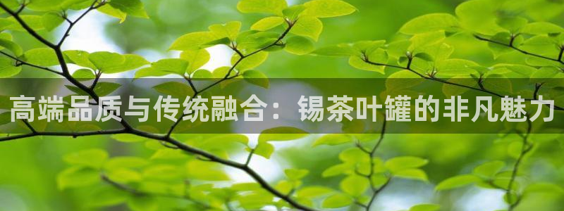鸿运策略平台
