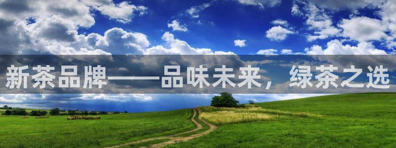 鸿运当头平台