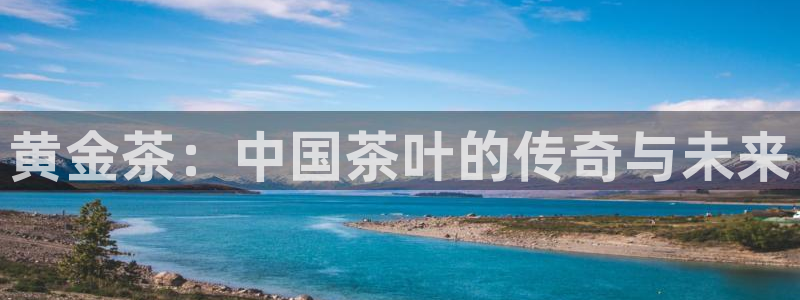 鸿运电商平台