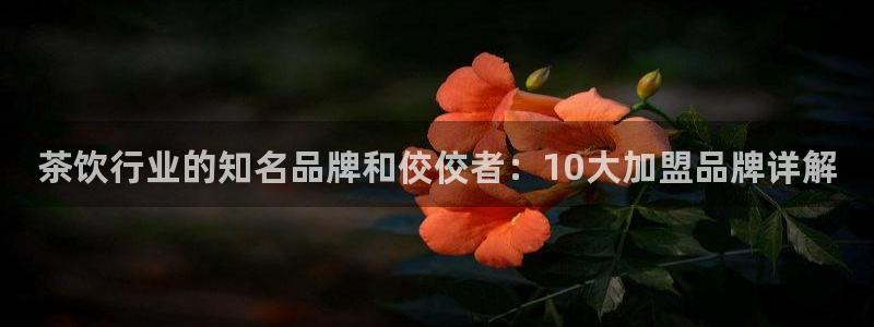 鸿运东方平台