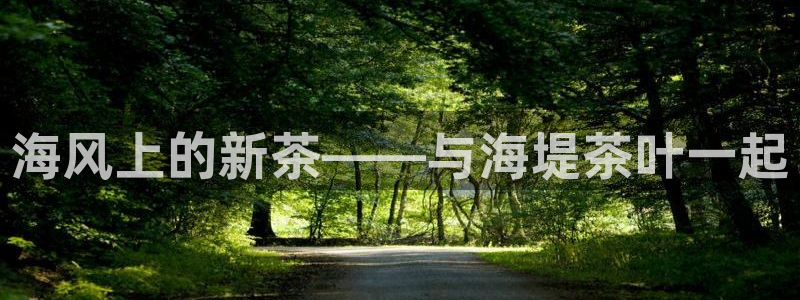 鸿运国际外汇平台