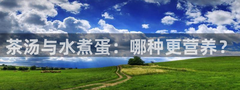 鸿运服务平台是什么平台