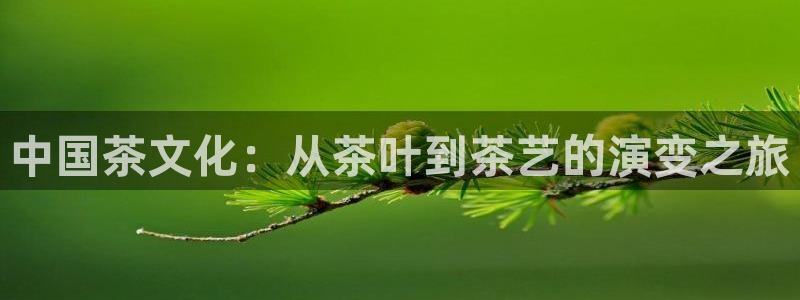 鸿运汽配团购平台