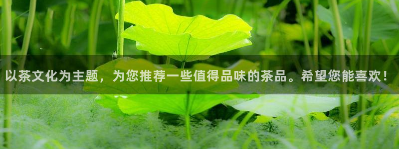 苏州鸿运阁直播平台