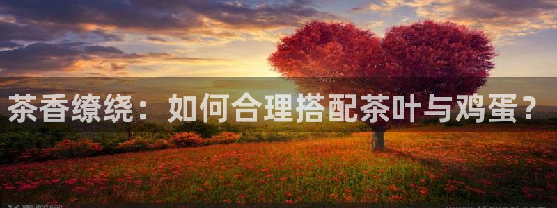 鸿运国际是什么游戏平台