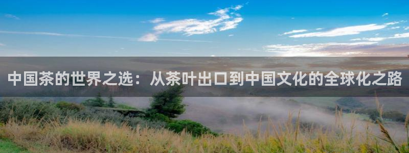 鸿运平台刷在线率