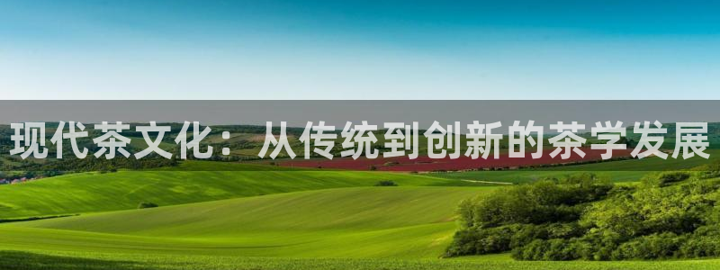 鸿运彩票平台带玩