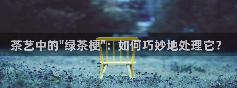 鸿运平台主管