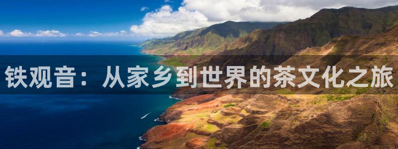 鸿运彩票平台带玩