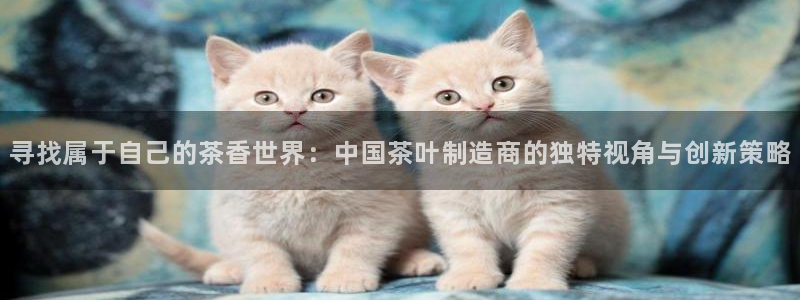 鸿运娱平台