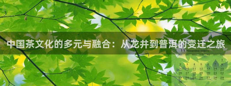 焦作鸿运团体直播平台